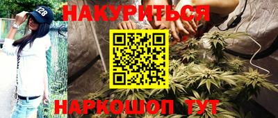 индика Тулун