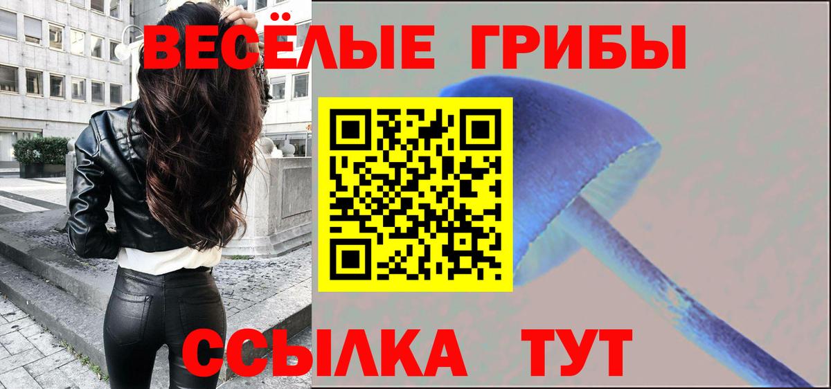 Псилоцибиновые грибы Cubensis  Вход с VPN  Бердск 